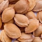 Almond Nuts Almond Kernel