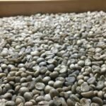 Arabica Green Coffee Beans Grade 1