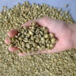 Arabica Green Coffee Beans Grade 1