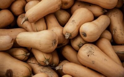 Butternut Squash from East Africa should reach European, Asian, United States, U.A.E, Middle East market soon