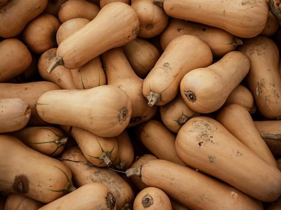 Butternut Squash from East Africa should reach European, Asian, United States, U.A.E, Middle East market soon