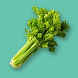 Fresh Celery