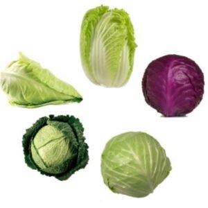 Cabbage