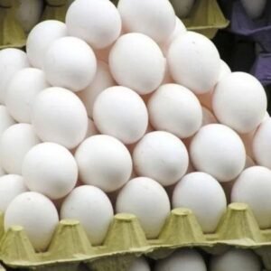White Chicken Eggs Chicken White Eggs