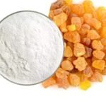 Dammar Gum