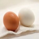 Fertilized Eggs for Sale