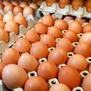 White And Brown Chicken Eggs Fresh Brown Table Eggs
