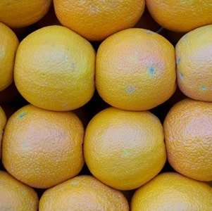 grapefruit east africa