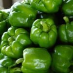 green bell pepper east africa