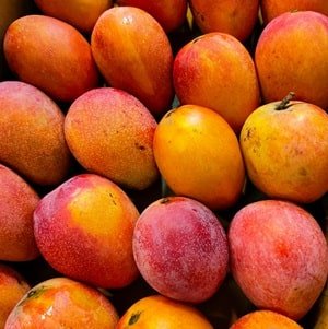 mangoes east africa