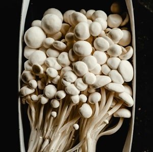 mushrooms