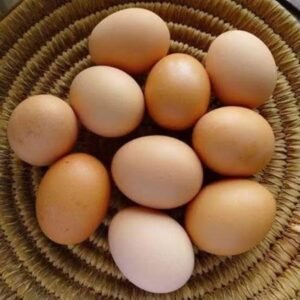 Organic Eggs Wholesale Organic Eggs
