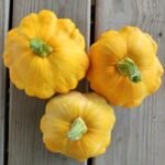 Patty Pan Seeds