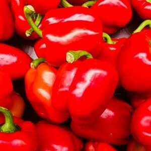 red bell pepper east africa