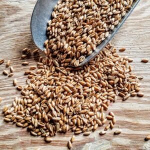 Organic Whole Grain Spelt