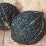 squash other