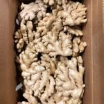 Ginger Root Top Quality Fresh Ginger For Sale