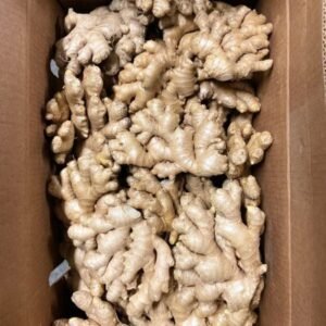 Ginger Root Top Quality Fresh Ginger For Sale