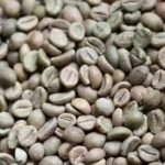 Unroasted Green Coffee Beans