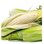 Whole White Corn | Dried Maize White Corn Maize