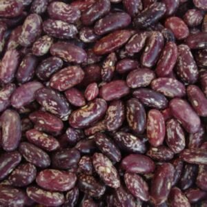 Wholesale Price 100% Natural Purple Speckled Kidney Beans