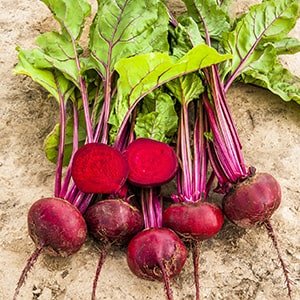 Organic Fresh Beetroots