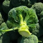 broccoli east africa