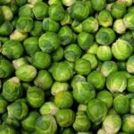 Brussel Sprouts brussels sprouts east africa