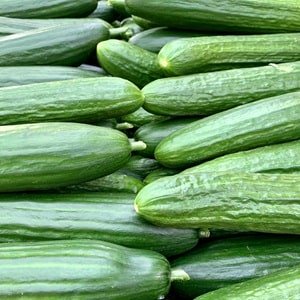 cucumber