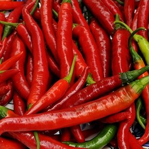 Fresh Chili Hot Pepper