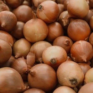 Fresh Whole Onions