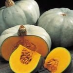 pumpkins