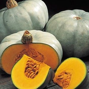 pumpkins