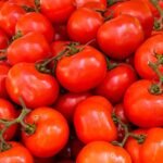 Tomatoes