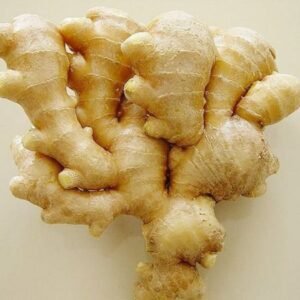 Fresh Ginger Cheapest Price 100% Best Price Of Fresh Ginger With High Quality