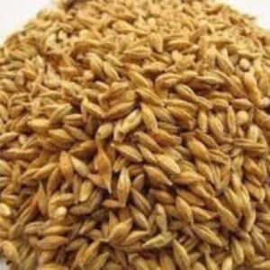 The 100% High Quality Animal Feed Barley