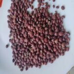 Adzuki Beans