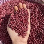 Adzuki Beans