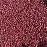 Adzuki Beans