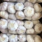Best Grade White Garlic For Sale