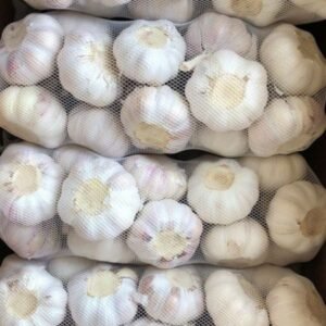 Best Grade White Garlic For Sale