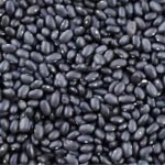 Black Kidney Beans
