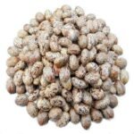 Castor Seeds High Sprouting Herb Raw Castor Bean Plant Seeds Bulk Wholesale Price Oil Seeds Bulk Castor