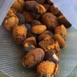 Cattle Gallstones