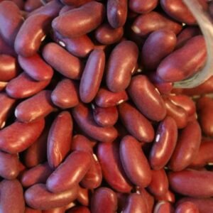 Dark Red Kidney Beans