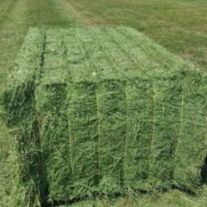 Premium Organic Alfalfa Pellets Excellent Organic Alfalfa HayAlfalfa Grass HayAlfalfa Hay Pellets For Animal Feed For Sale
