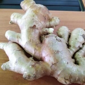 Fresh Ginger Roots Fresh Ginger Ready For Export