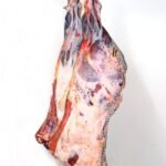Frozen Beef Hindquarter
