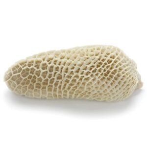 Frozen Beef Honeycomb