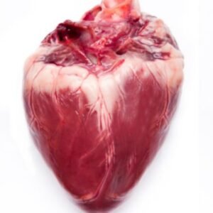 Frozen Pork Heart